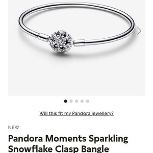 Pandora Moments Snowflake Clasp Bangle